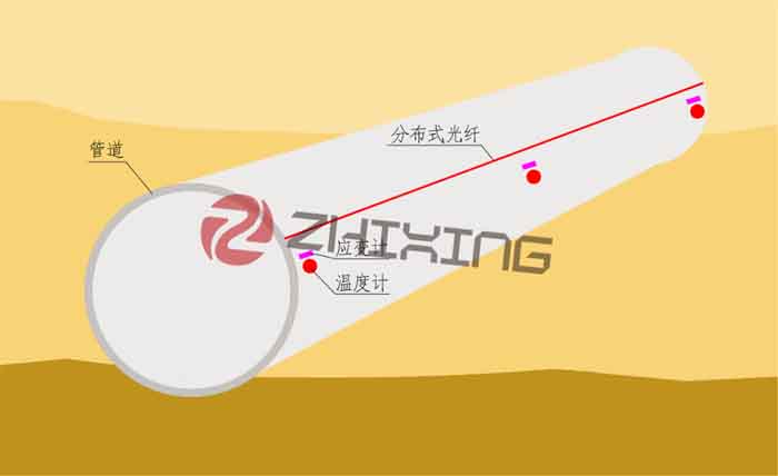 1720055330828731.jpg 111.jpg